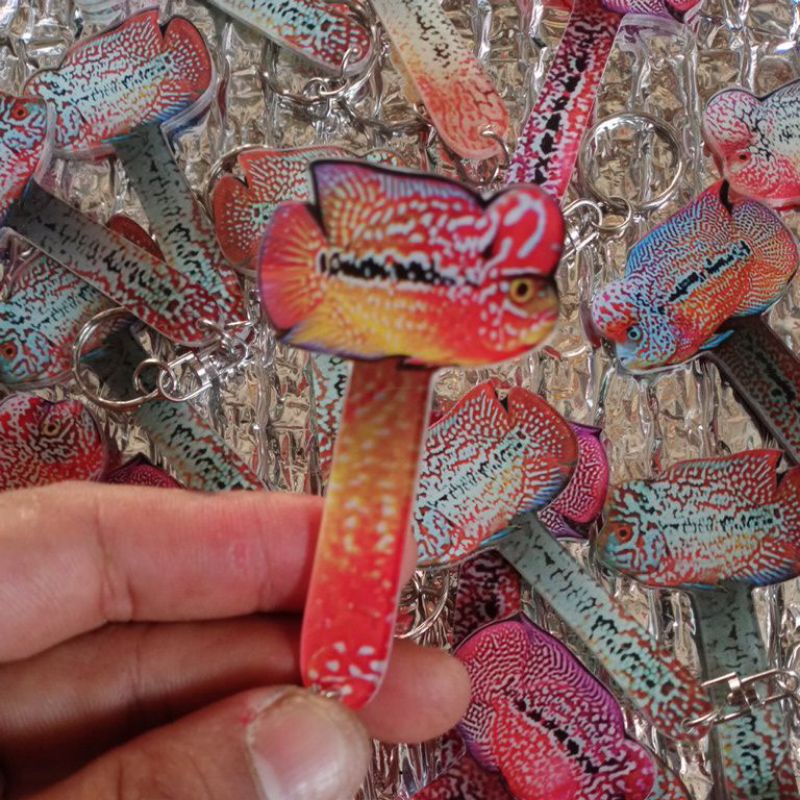 Wayang Louhan & Parot (Tebal Bahan Akrilik untuk ikan Louhan)