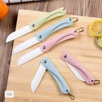 Pisau LIPAT BUAH Kitchen Knife Sayur Dapur Stainless Steel Souvenir Potable Praktis