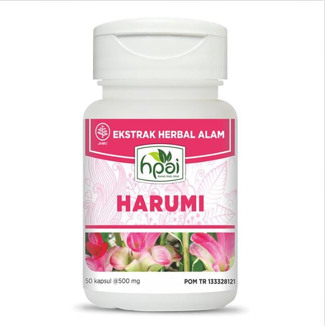 Guling L Bantal Guling L Guling Angin L Bantal Guling Tiup L Guling Portable