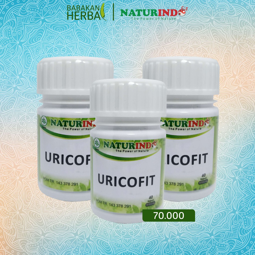 

Naturindo Fit URICOFIT Obat Herbal Meredakan Pegal Linu Nyeri Sendi Babakan Herbal