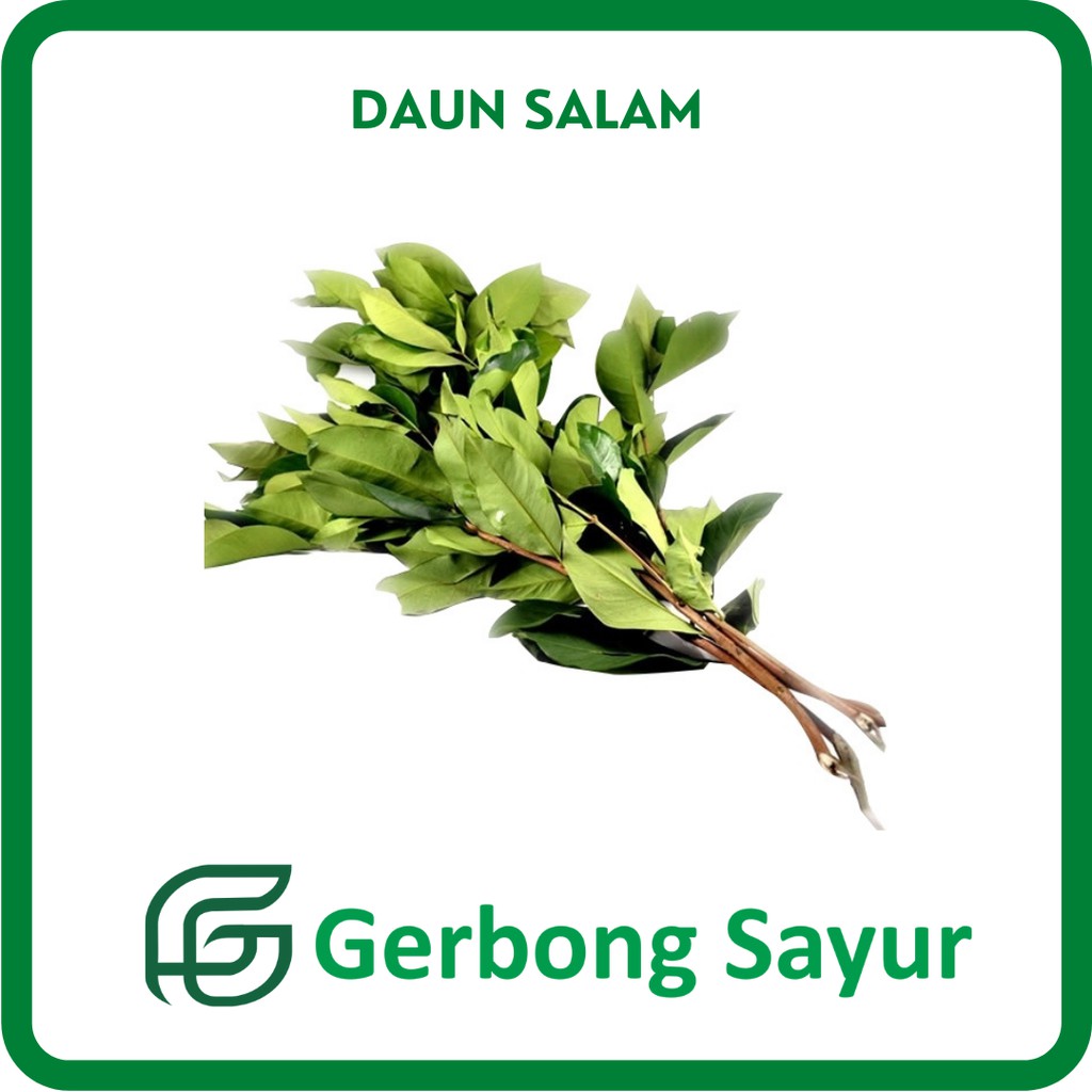 

Bumbu Daun Salam Segar - 100g