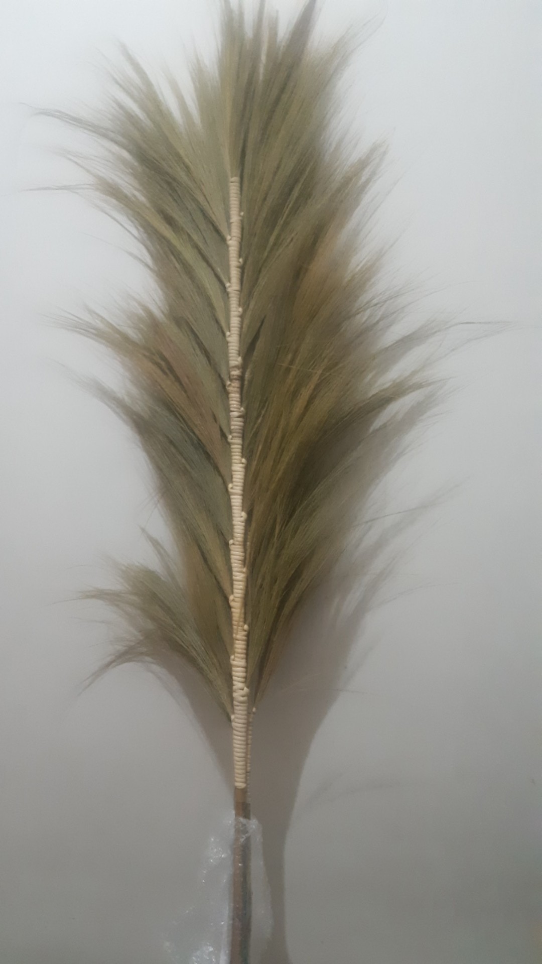 Paket Termurah Homedecor Rayung Rustic Dekorasi Rayung Kering Bunga Rayung Panjang Rayung Natural