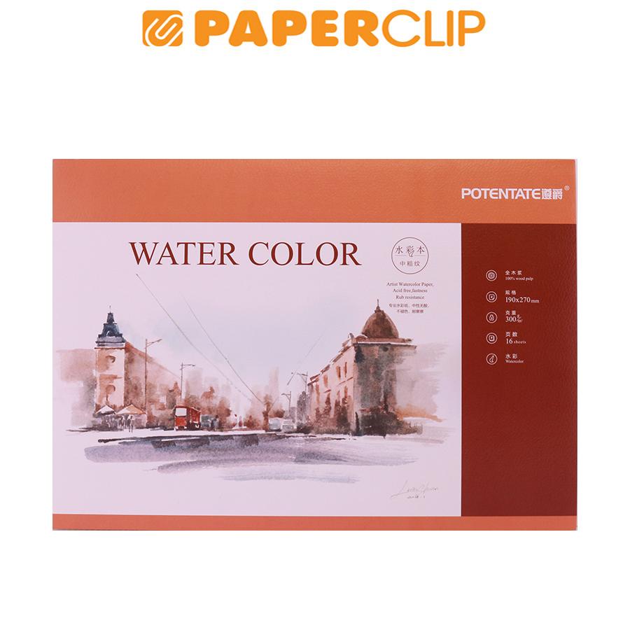 

POTENTATE WATER COLOUR MEDIUM 16SH 020766