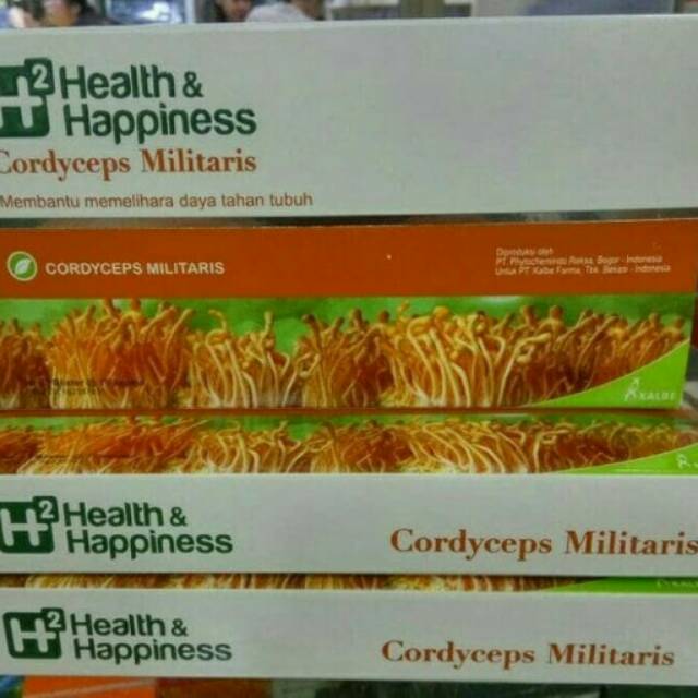 H2 CORDYCEPS MILITARIS BY KALBE ISI 30 KAPSUL