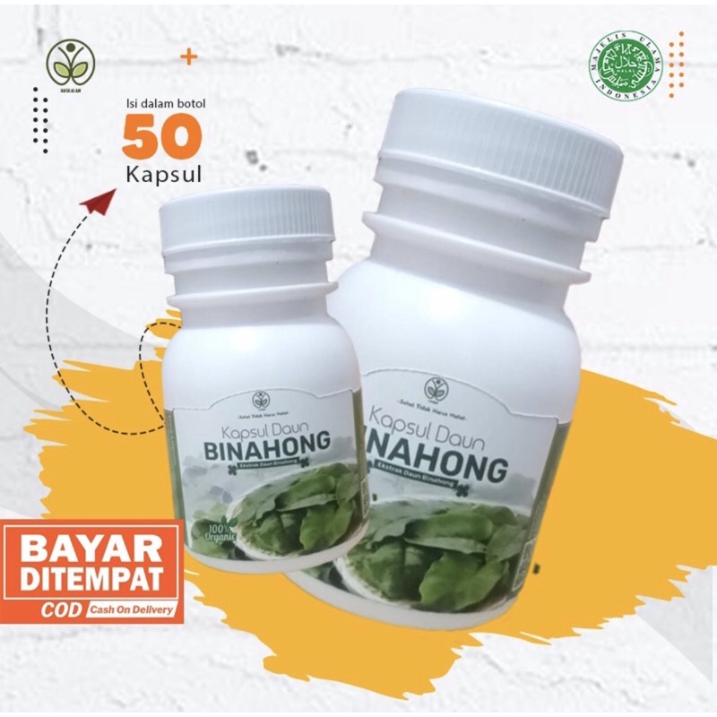 Kapsul Daun Binahong Merah Deng San Chi Hijau Original Asli Extra Herbal Obat Gatal Asam Urat Wasir 