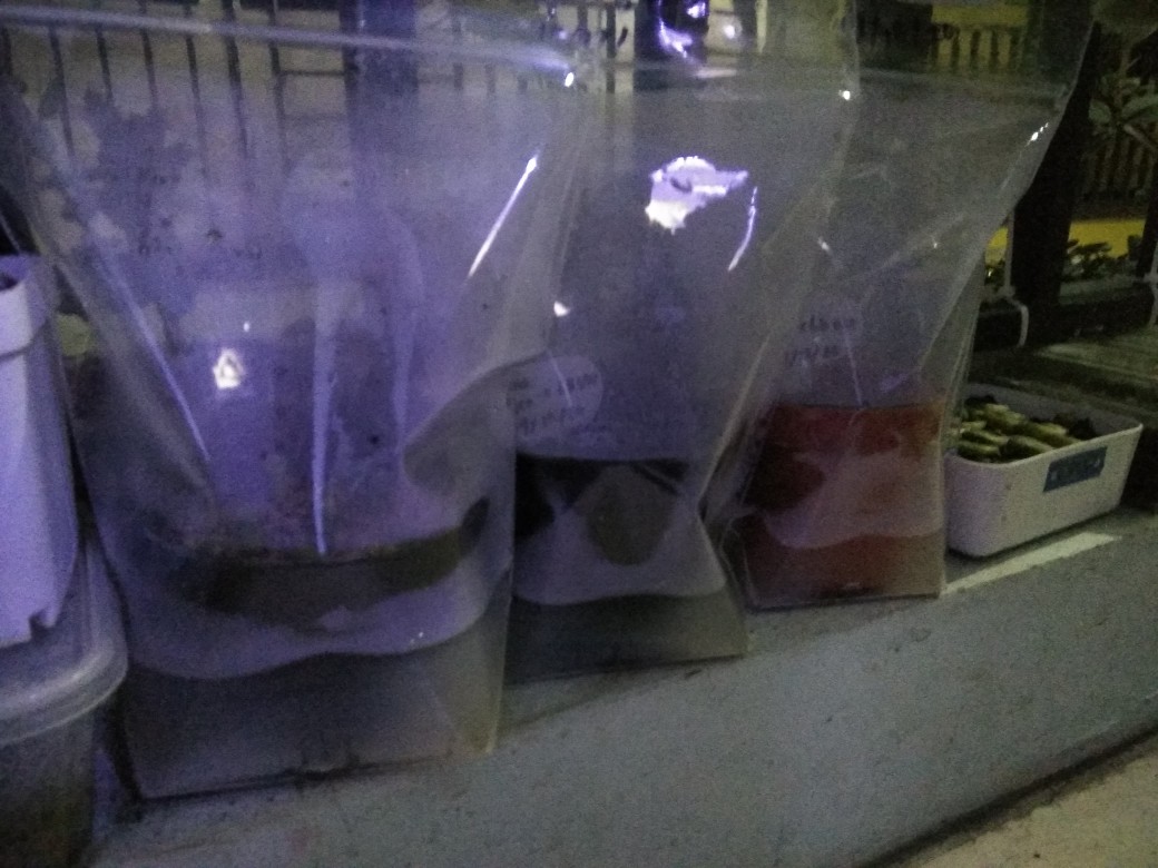 Pp Klip / Pp Ziplock 15x20