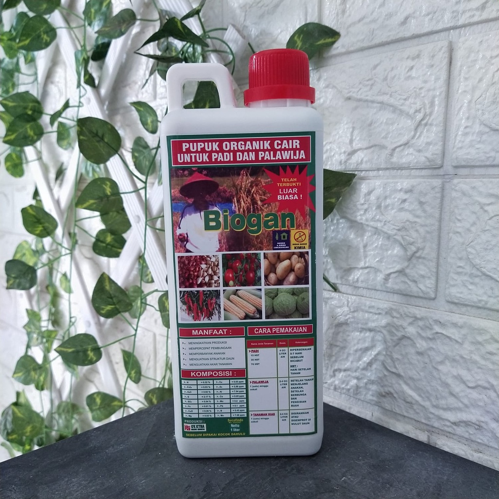 PUPUK ORGANIK CAIR (POC) BIOGAN UNTUK PADI & PALAWIJA