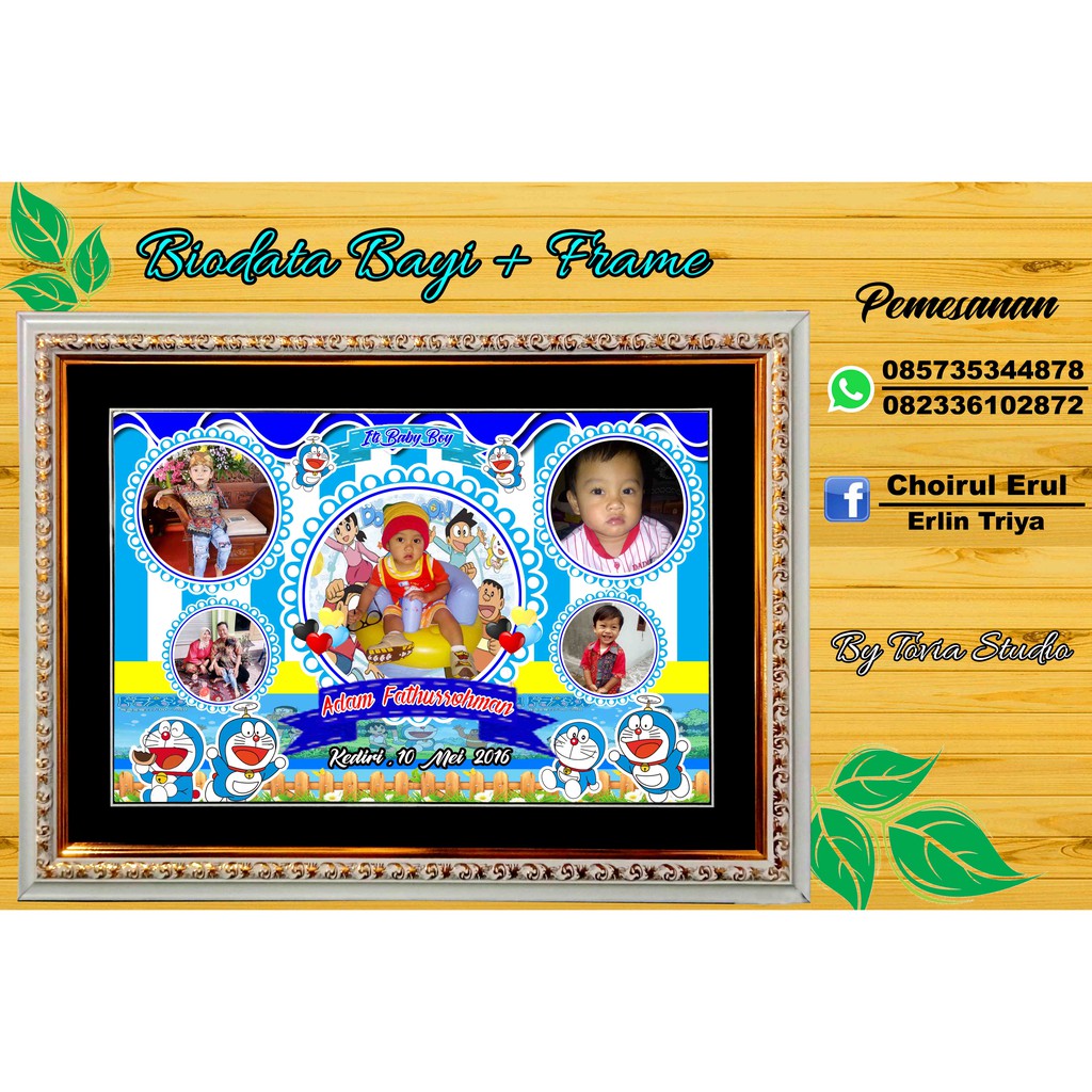 Biodata bayi baru lahir