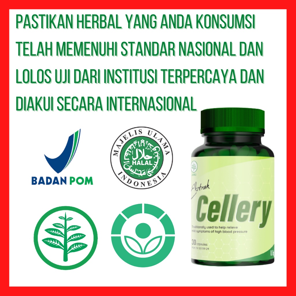 Ecellery Obat Darah Tinggi Hipertensi Ekstrak Cellery Kapsul Herbal Ampuh Terdaftar di BPOM