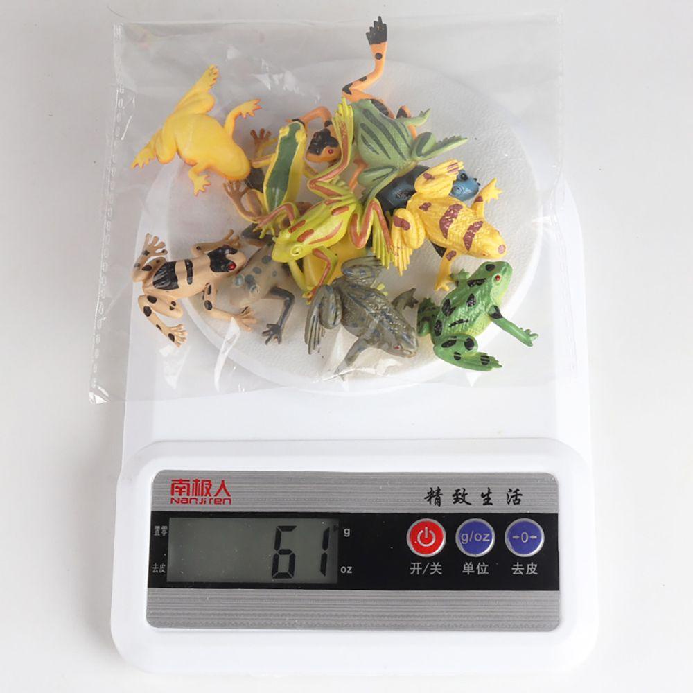 12 Pcs Simulasi Hewan Katak Amfibi Untuk Koleksi
