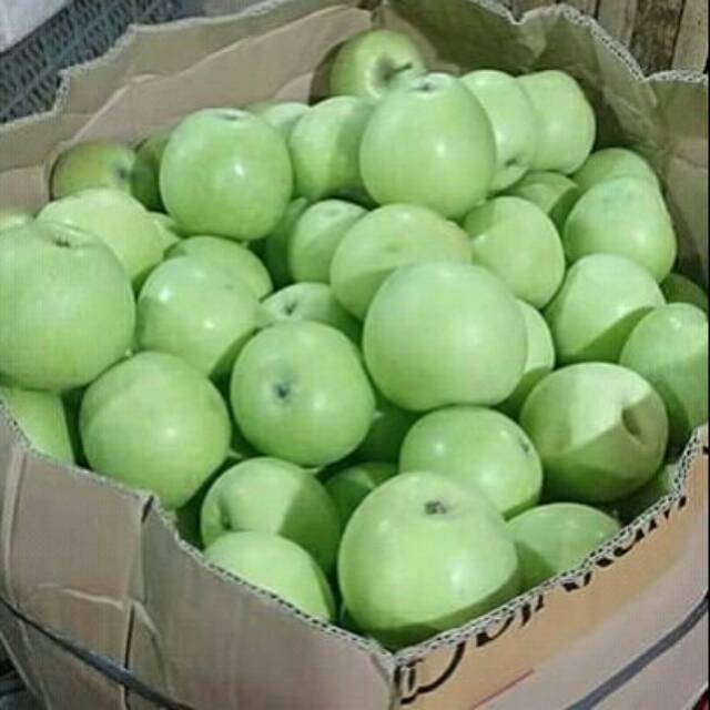 

Buah Apel Manalagi Malang