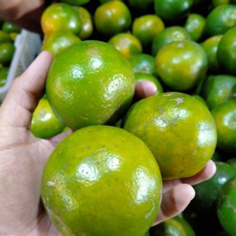 

Jeruk Pontianak 1kg - Pasar Segar Depok