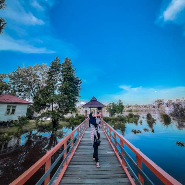 30091995_ervilisdawati.