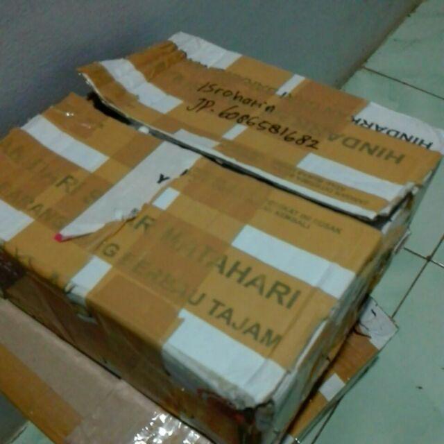 Ariani1318 Set Bunga Plastik Semanggi Dengan Pot Plastik Putih Bulat