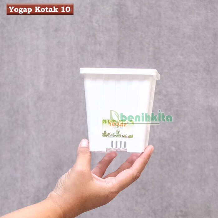 Pot Bunga Yogap Kotak 10