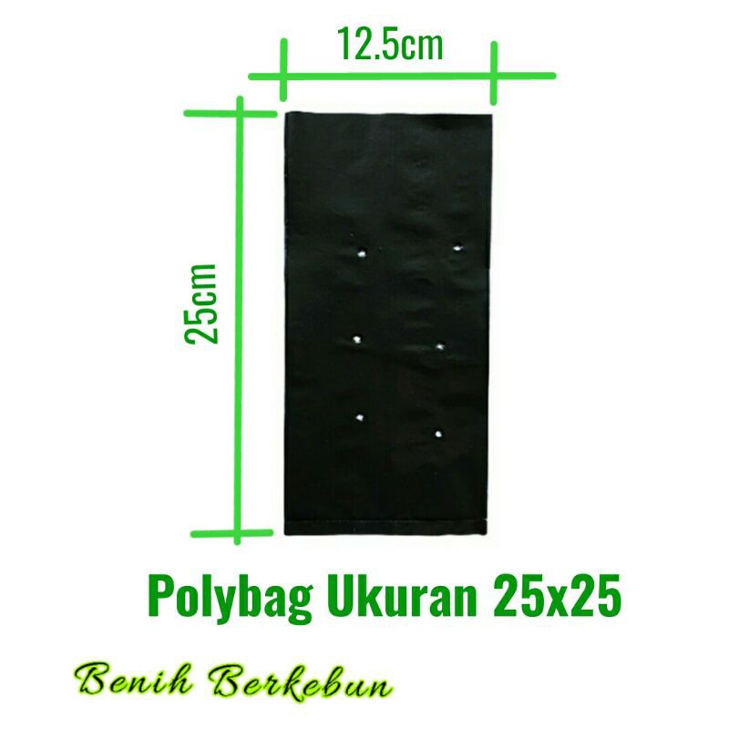 1 Buah Polybag Tanaman 25x25