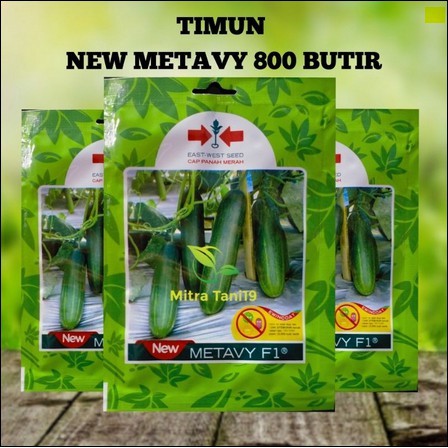 BENIH BIBIT MENTIMUN TIMUN NEW METAVY 800 BUTIR CAP PANAH MERAH