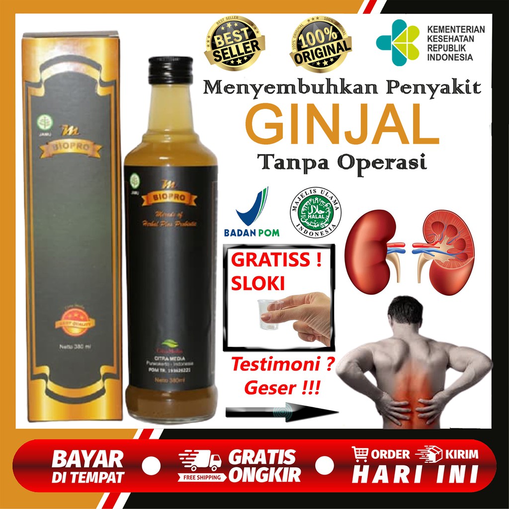 Obat Ginjal Bengkak Herbal untuk Sakit Pinggang Urin Berbusa Paling Ampuh - Ginjal Bocor - Mbiopro h