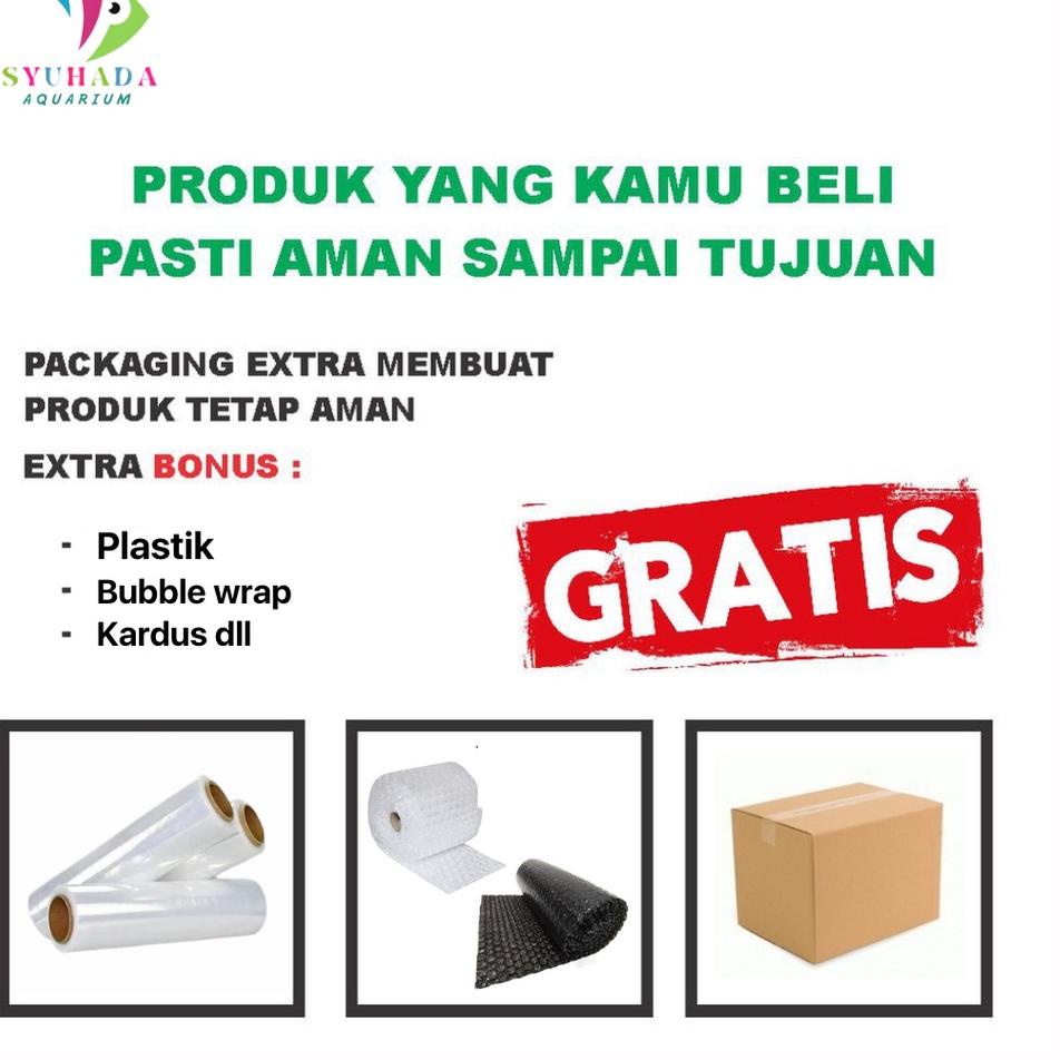 KWR.25Au22ᴰ– 1 SET AQUARIUM MINI AKRILIK PIPA PVC POMPA AERATOR DAN LAMPU LED HIASAN RUMAH 002