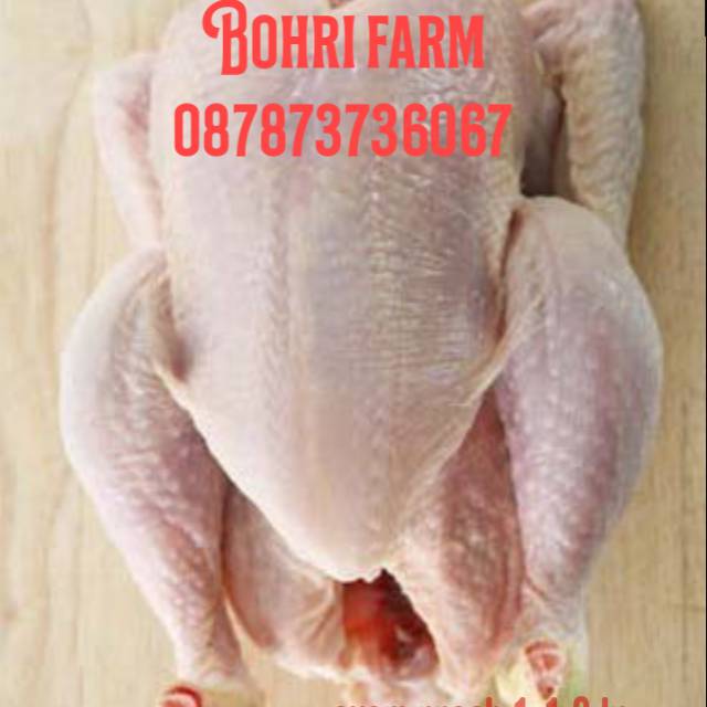 

Ayam potong utuh presh