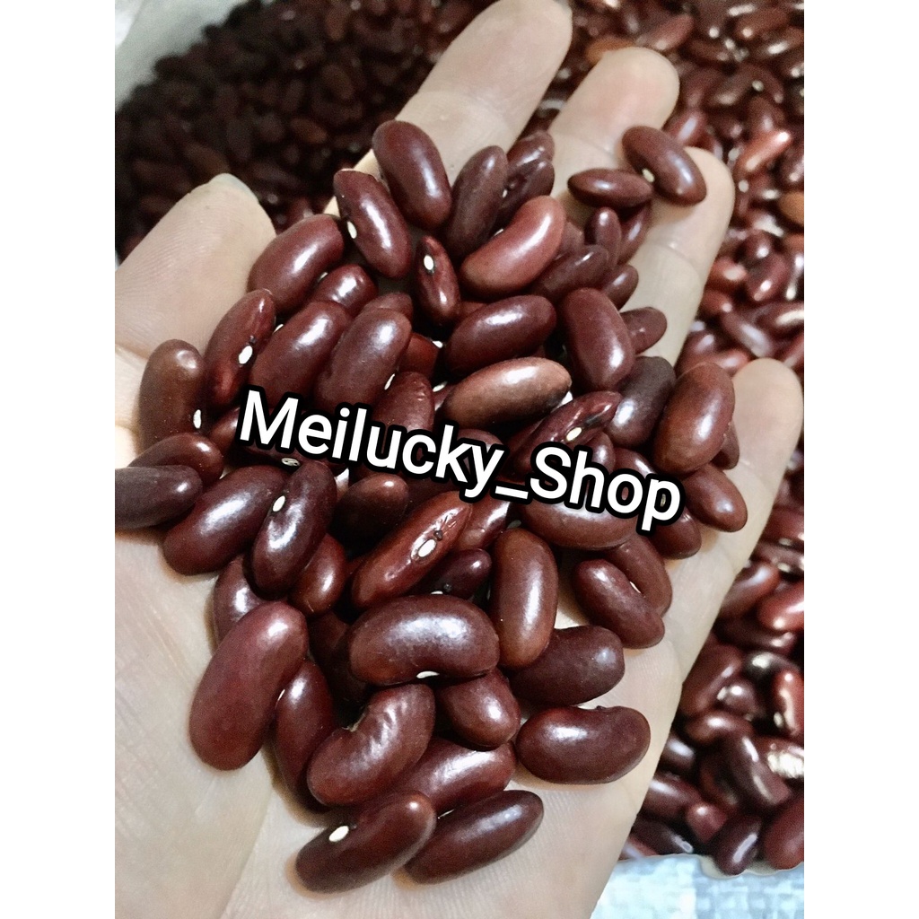 

KACANG MERAH BIJI BESAR PREMIUM KWALITAS SUPER MALAYSIA 500 GRAM