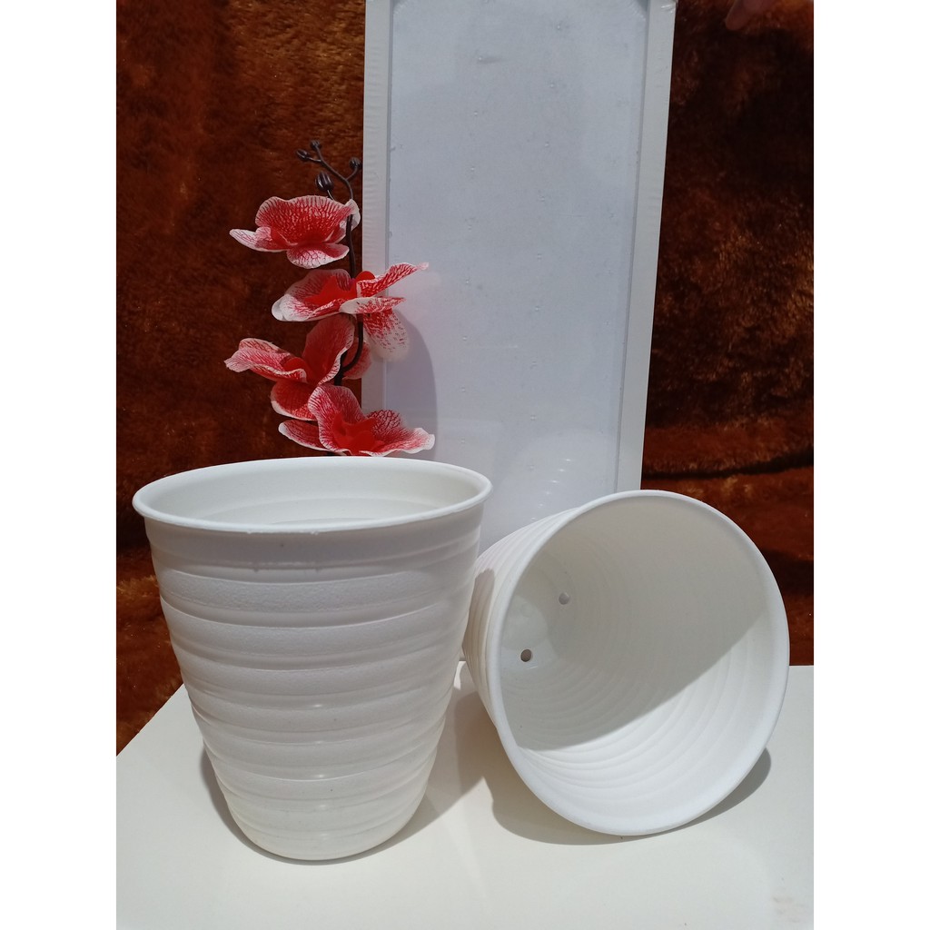  Pot Tawon Tirus  Pirus 12 cm Putih Shopee Indonesia