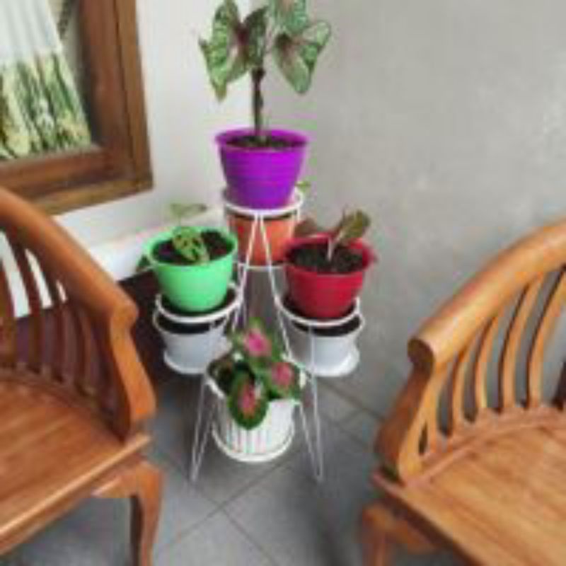 Standing pot tanaman lobang 7 diameter 15cm