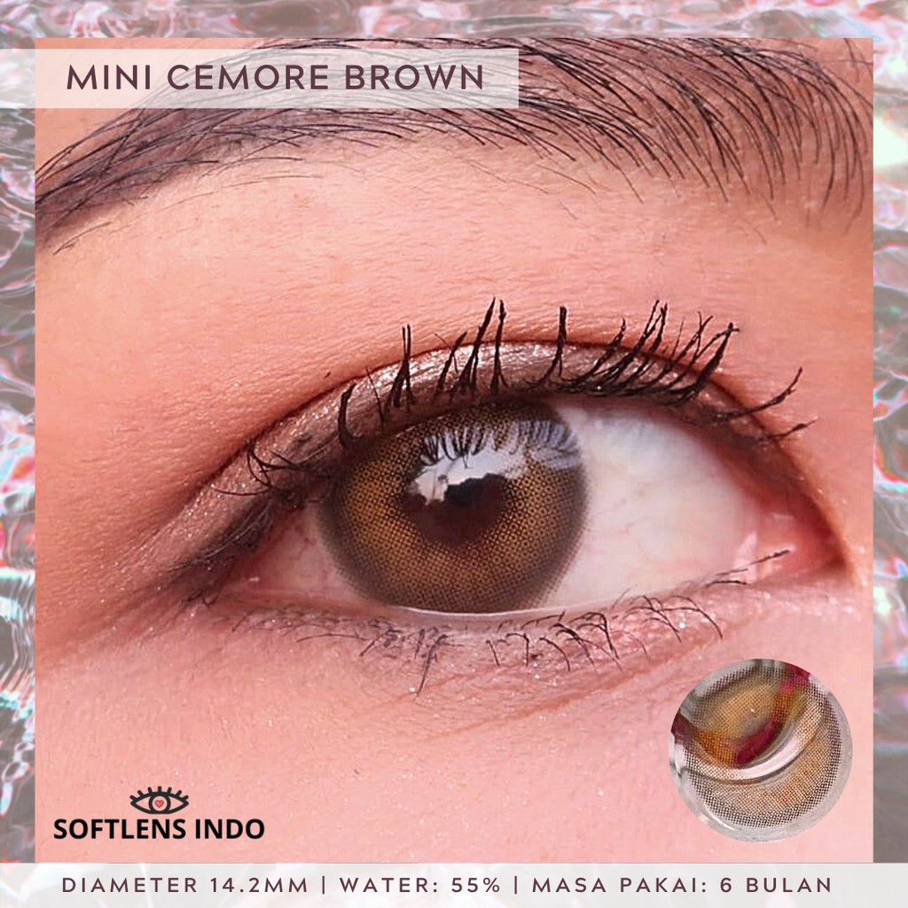 

Softlens Kitty kawaii mini cemore brown / coklat