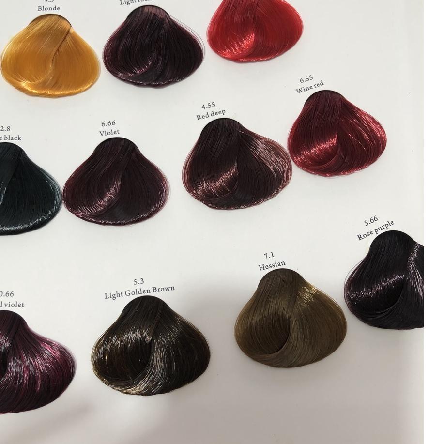 New Feves Hair Color 60 ml + Developer 60 ml / Cat Rambut Feves