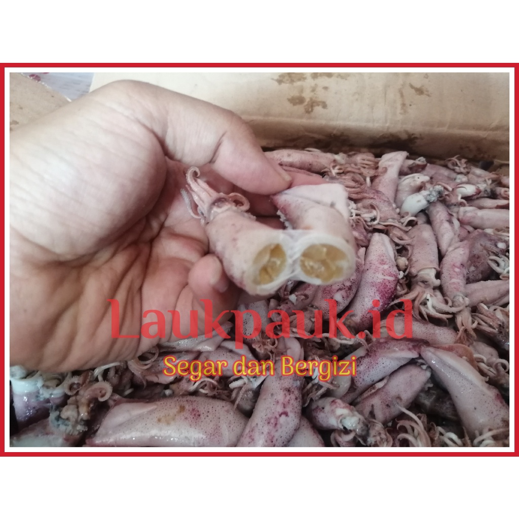 

Grosir Cumi Asin Telur Rebus 100 gram