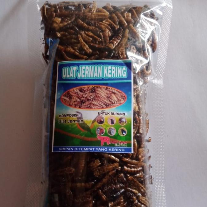 

Ulat Jerman Kering Dry SuperWorm