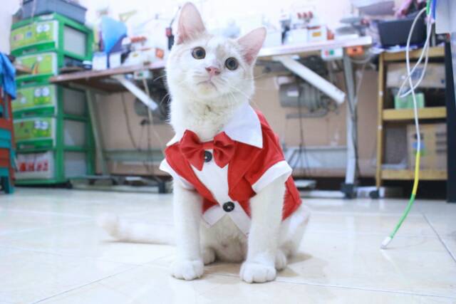 Tuxedo merah untuk kucing dan anjing size S M L XL / baju kucing murah