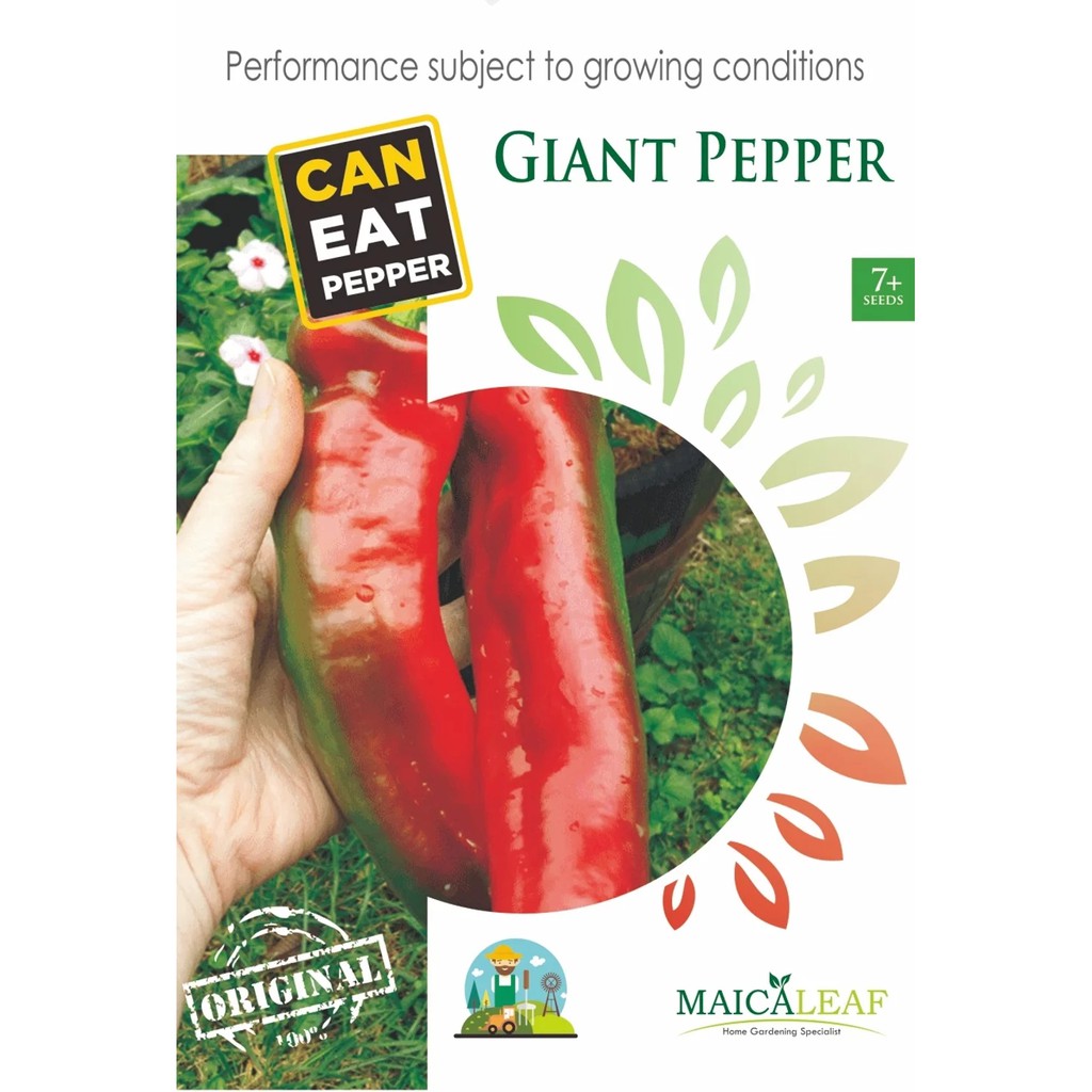 Benih Cabe Besar/Bibit Cabe Besar Maica Leaf Isi 7+ Benih