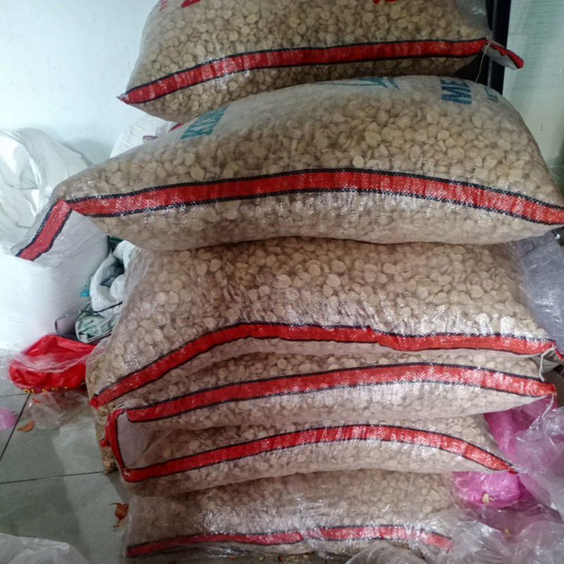 

Kemiri serba 10.000
