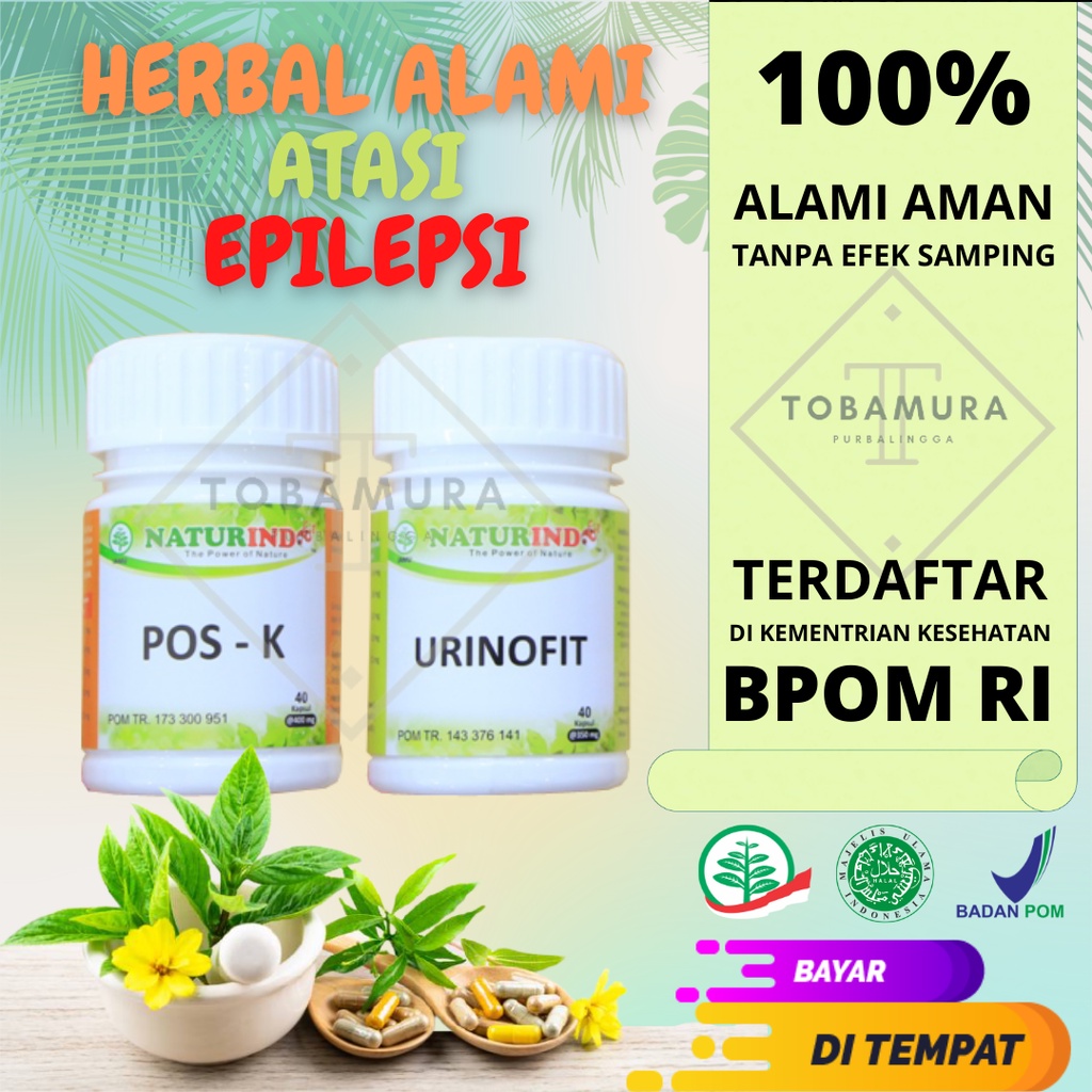 Obat Epilepsi Aman BPOM Mulut Berbusa Kejang Ayan Pingsan Sawan Celeng Herbal Paling Ampuh Naturindo