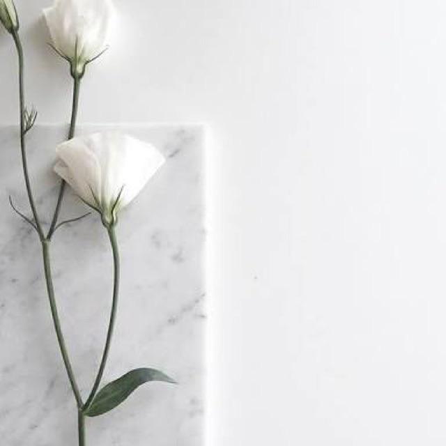 Botol Kaca Amber Roll On 10 Ml | Botol Essensial Oil Rollon Tebal | Botol Dilute Essential Oil