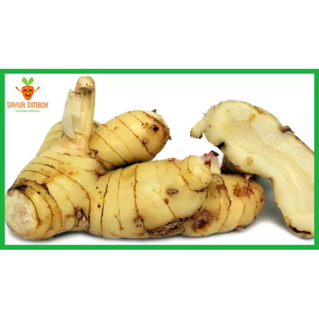 

Lengkuas 500 Gram