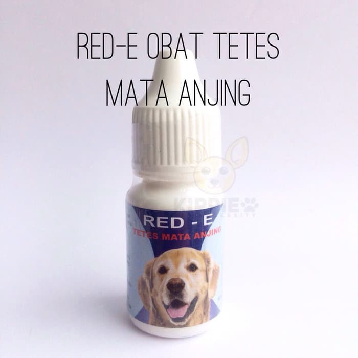 Jual RED E 10 ML TETES MATA ANJING| OBAT MATA ANJING| OBAT IRITASI MATA ANJING| OBAT KATARAK ANJING Indonesia|Shopee Indonesia