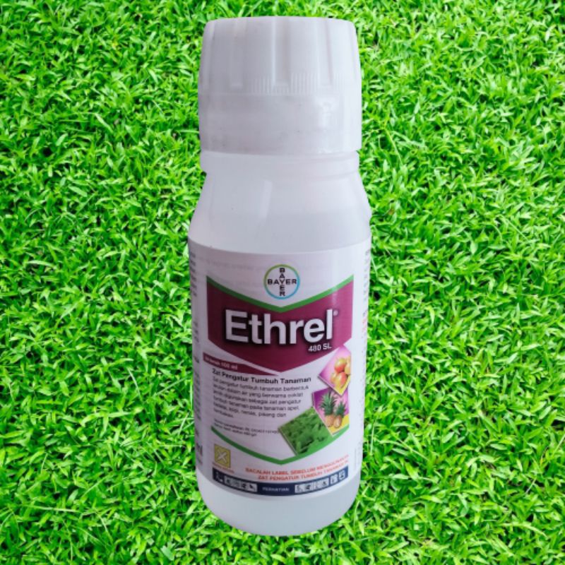 HORMON TANAMAN ZAT PENGATUR TUMBUH (ZPT) ETHREL 480 SL 100ML