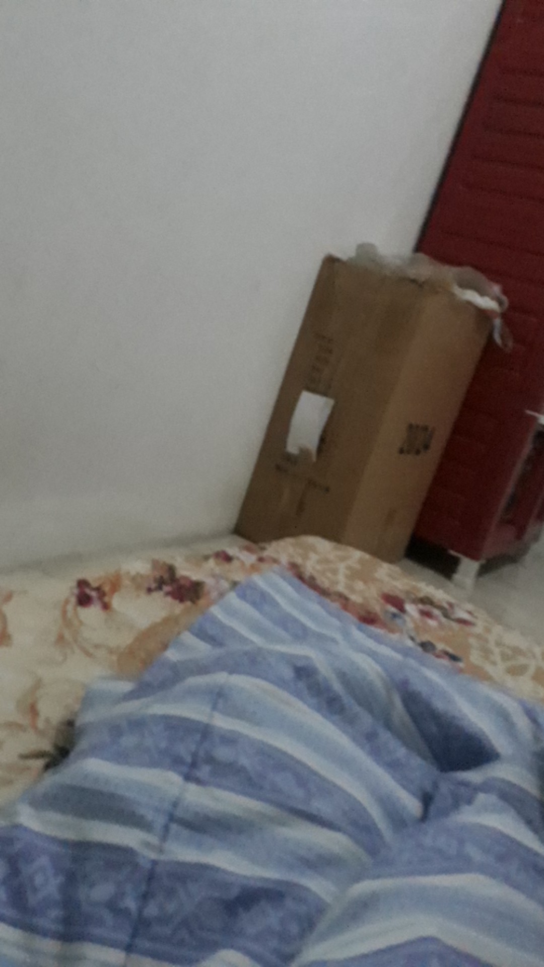 Lap Serbet Lap Piring/ Lap Tangan/ Kain Lap Serbet Serbaguna 38cmx38cm Termurah Keset Kaki Bulu