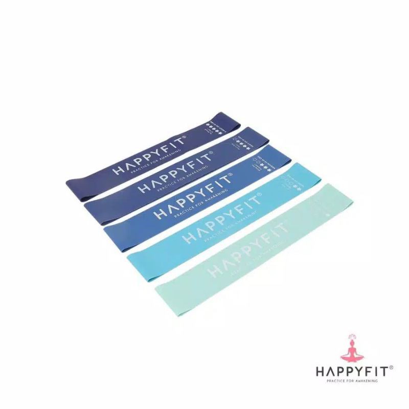 HAPPYFIT RESISTANCE BAND
