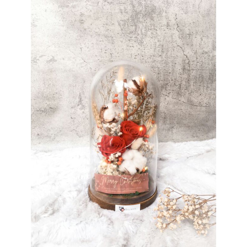 Preserved Dome Flowers