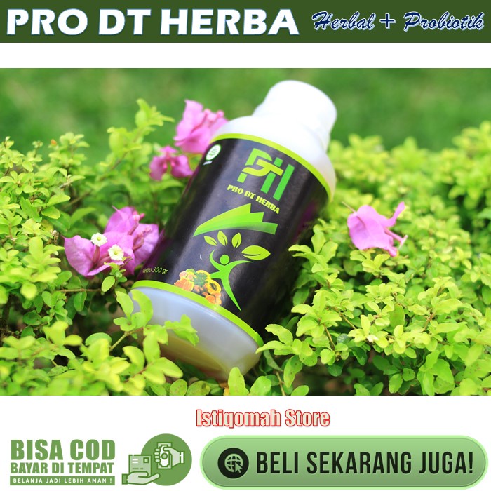 PROMO COD Pro DT Herba Obat Kelenjar Getah Bening Di Leher Ketiak Selangkangan Tiroid Lipoma Benjolan Tumor Bartholin Herbal Alami Paling Ampuh Asli