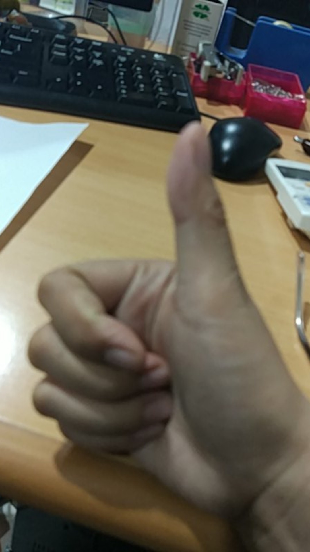 Piring Lidi Anyaman / Piring Anyaman / Piring Lidi Anti Pecah