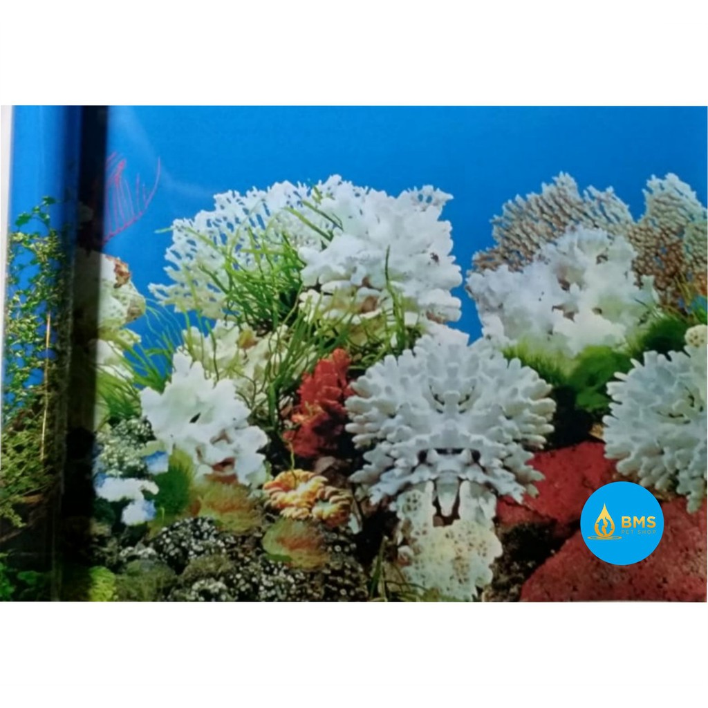 Background Gambar Latar Belakang Aquarium meteran wallpaper aquarium