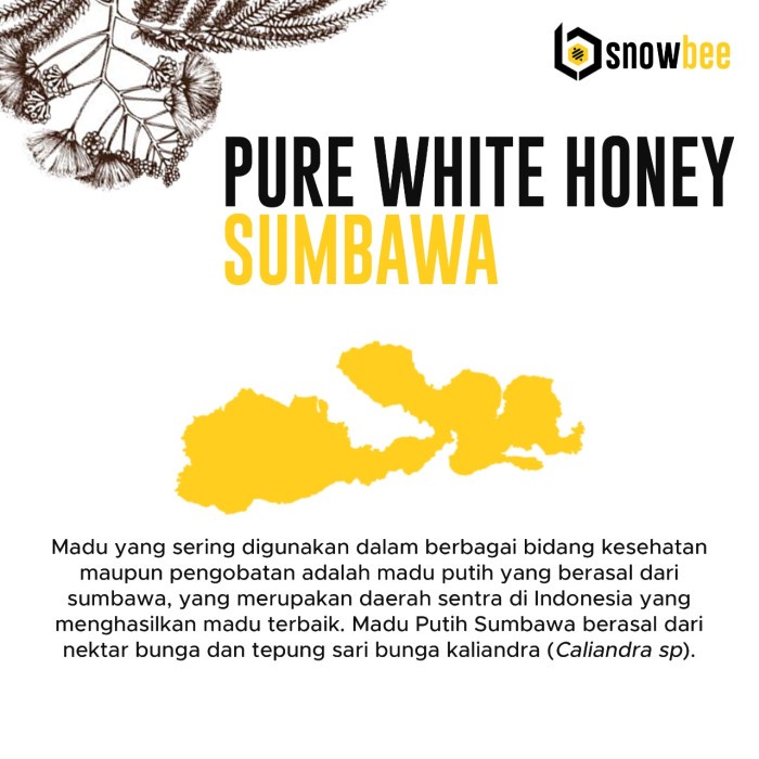 MADU PUTIH HUTAN SUMBAWA ASLI 500GR | SNOWBEE 100% PURE WHITE HONEY