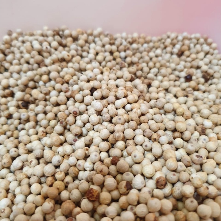 

Lada Putih Bangka Bulat Butir 100 Gram