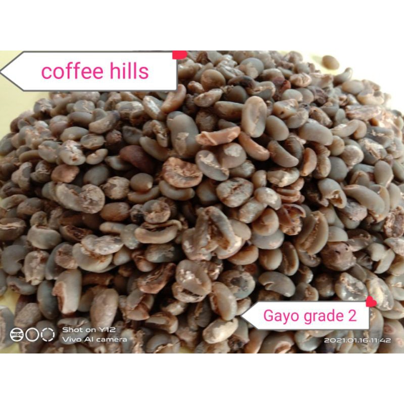 

Biji Kopi Arabica Aceh Gayo Grade 2 Ekonomis