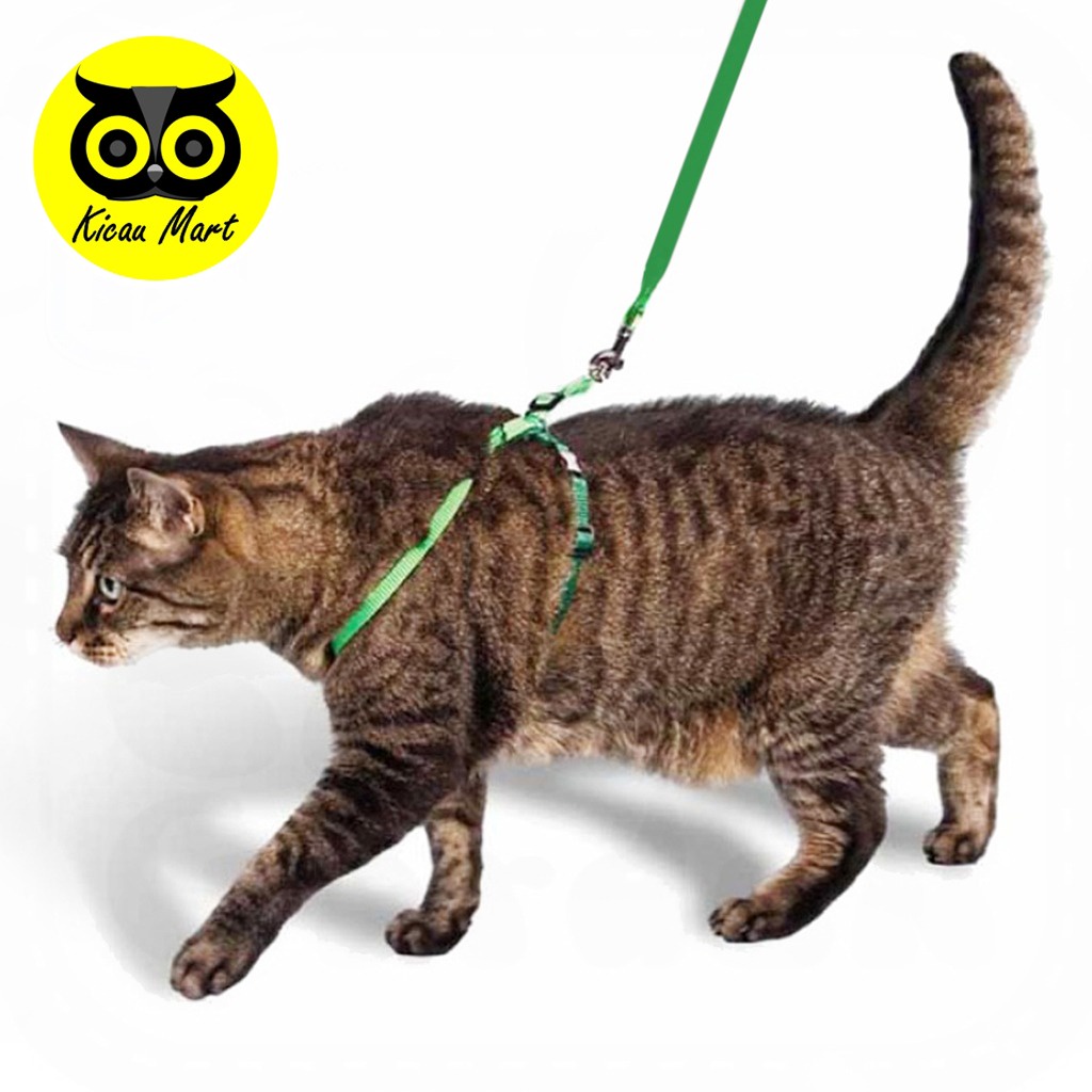 TALI TUNTUN KUCING MODEL Y MERK SEMPATI HARNES HARNESS TALI TUNTUN ANJING KALUNG KUCING BAJU KELINCI MUSANG MONYET CAT HARNESS