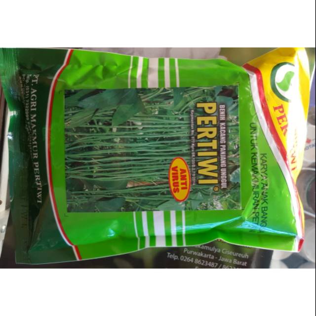 KACANG PANJANG PERTIWI